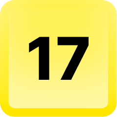Level 17