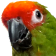 HypeSquawk