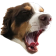 HypeYawn