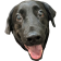 HypeEyes