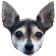 HypeEars