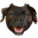 HypeHeh
