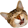 HypeStahp