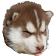 HypeDoh