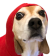 HypeHide