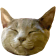 HypePurr