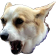 HypeScream