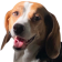 HypeHeyFriends