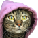 HypeDisguise