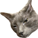 HypeSus