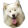 HypeTongue