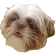 HypeBeard